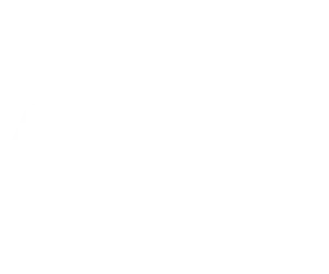 Bronson Speed Co.