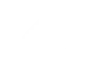 Pro-Tec