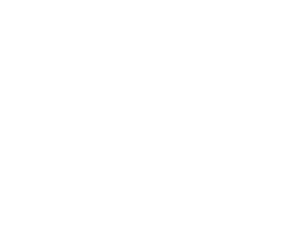 Venture