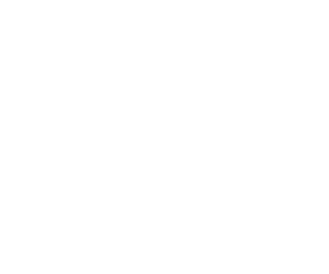 Toy Machine
