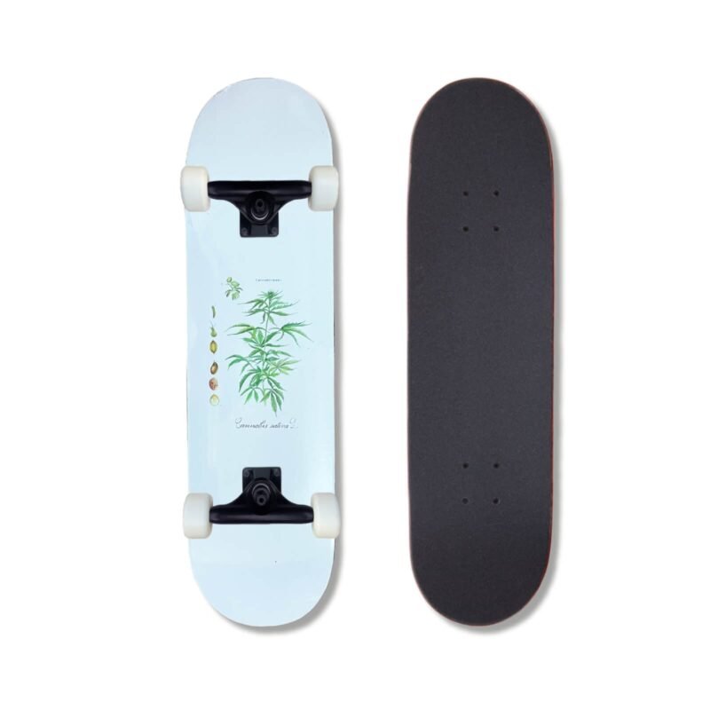Patineta Armada TACo Sativx Blanca 8.25"