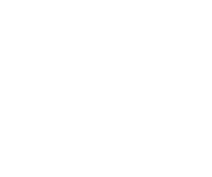 Shake Junt