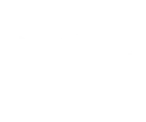 Hot Wheels Skate