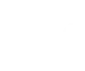 Powell Peralta