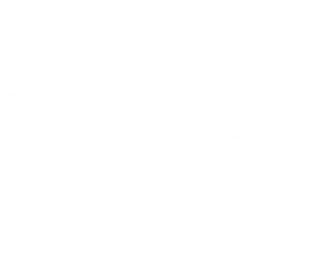 Bones