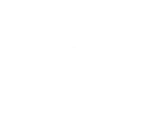 Mini-Logo