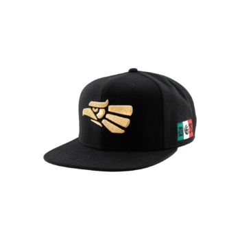 Gorra DGK Ciudad Snapback