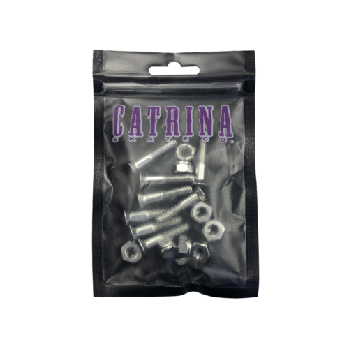 Tornillos Catrina Allen Plata 1" - Imagen 2