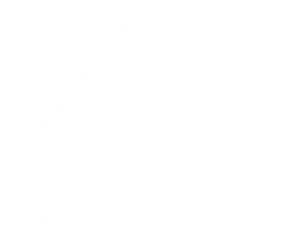 Zenit