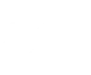DSG