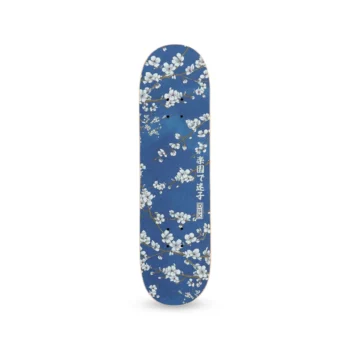 Lija-DGK-Sky-1