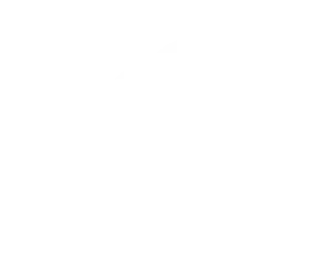 Shark Wheel