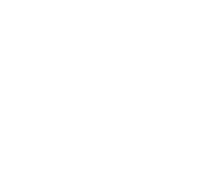Vision